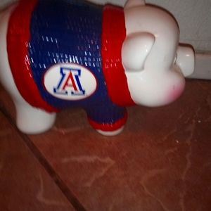 University of Arizona